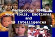 Pedagooogy 3000 More tools, Emotional and 13 Intelligences Noemi Paymal