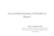 Social Determinants of Health in Brazil Alberto Pellegrini Filho Center for Studies, Policies and Information in Social Determinants of Health ENSP/FIOCRUZ
