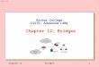 1 12/18/2014 15:21 Chapter 12Bridges1 Rivier College CS575: Advanced LANs Chapter 12: Bridges