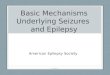 Basic Mechanisms Underlying Seizures and Epilepsy American Epilepsy Society B-Slide 1