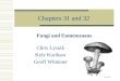 Chapters 31 and 32 Fungi and Eumetozoans Chris Lysuik Kyle Kurihara Geoff Whitener etc.usf.edu