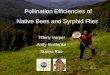 Pollination Efficiencies of Native Bees and Syrphid Flies Tiffany Harper Andy Moldenke Sujaya Rao