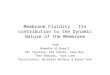 Membrane Fluidity : Its contribution to the Dynamic Nature of the Membrane Team Mawadda Al-Naeeli Pat Cipriano, Kim Conner, Lopa Das, Thea Edwards, Tara