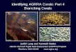 Identifying AGRRA Corals: Part 4 Branching Corals Judith Lang and Kenneth Marks Atlantic and Gulf Rapid Reef Assessment (AGRRA) Program Revision: 2012-03-09