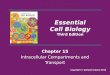 Chapter 15 Intracellular Compartments and Transport Essential Cell Biology Third Edition Copyright © Garland Science 2010
