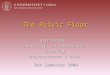 The Pelvic Floor Per Brodal Institutt for medisinske basalfag Universitetet i Oslo 9th Semester 2008