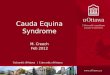 Cauda Equina Syndrome M. Creech Feb 2012. Outline Definition Epidemiology Pathophysiology Presentation Imaging Treatment Outcomes