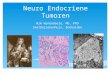 Neuro Endocriene Tumoren Wim Wynendaele, MD, PhD Imeldaziekenhuis, Bonheiden