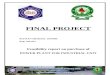Feasibility report for power plant