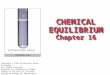 CHEMICAL EQUILIBRIUM Chapter 16 Copyright © 1999 by Harcourt Brace & Company All rights reserved. Requests for permission to make copies of any part of