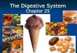 The Digestive System Chapter 25. Function of the Digestive System  To break down food into a “usable” (absorbable) form  To supply our cells with the