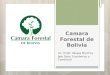 Camara Forestal de Bolivia Lic. Erwin Vargas Brychcy Jefe Dpto. Económico y Comercial