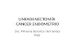 LINFADENECTOMÍA CANCER ENDOMETRIO Dra. Minerva Berenice Hernández Vega