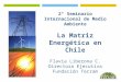 2° Seminario Internacional de Medio Ambiente La Matriz Energética en Chile Flavia Liberona C. Directora Ejecutiva Fundación Terram