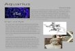 Constellation Research - Aquarius