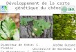 Développement de la carte génétique du chêne Directeur de thèse: C. Plomion Co-directrice: C. Bodénès Jérôme Durand Université de Bordeaux 1