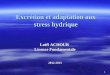 Excrétion et adaptation aux stress hydrique Lotfi ACHOUR Licence Fondamentale 2012-2013 1