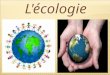 L'écologie. Esquema ConceptualFrance Argentine Introduction Avant et après Conflits écologiquesConflits écologiques 5 Conseils