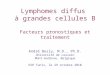 Lymphomes diffus à grandes cellules B Facteurs pronostiques et traitement André Bosly, M.D., Ph.D. Université de Louvain Mont-Godinne, Belgique ESH Tunis,