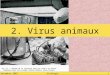Décembre 2007Virologie1 2. Virus animaux. décembre 2007Virologie2 Introduction