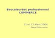 Baccalauréat professionnel COMMERCE 11 et 12 Mars 2004 Stage filière vente