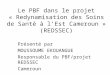 Le PBF dans le projet « Redynamisation des Soins de Santé à lEst Cameroun » (REDSSEC) Présenté par MOUSSOUME EKOUANGUE Responsable du PBF/projet REDSSEC
