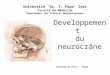 Leonardo da Vinci - étude Developpement du neurocrâne Université ˝Gr. T. Popa˝ Iasi Faculté de Médecine Département des Sciences Morphologiques