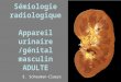 Sémiologie radiologique Appareil urinaire /génital masculin ADULTE E. Schouman-Claeys