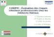 CABIPIC : Évaluation des risques infectieux professionnels chez les médecins libéraux. C.Cambon-Lalanne, J-P Aubert, E.Bouvet, C.Ciotti, S.Lariven, J.Le