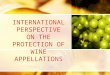 INTERNATIONAL PERSPECTIVE ON THE PROTECTION OF WINE APPELLATIONS
