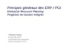 Principes généraux des ERP / PGI Enterprise Resource Planning Progiciels de Gestion Intégrés Thibault Estier Ecole des HEC Université de Lausanne thibault.estier@hec.unil.ch