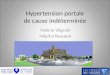 Hypertension portale de cause indéterminée Valérie Vilgrain Hôpital Beaujon
