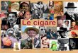 17 juin 2005A. Laverdunt - FIIFO 41 Le cigare. 17 juin 2005A. Laverdunt - FIIFO 42 Histoire du cigare. Données botaniques. Culture du tabac. Sèchage des