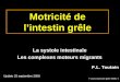 7-cours-motricite-grele-MMC-1 Motricité de lintestin grêle La systole intestinale Les complexes moteurs migrants Update 25 septembre 2008 P.L. Toutain