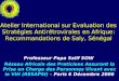 Atelier International sur Evaluation des Stratégies Antirétrovirales en Afrique: Recommandations de Saly, Sénégal Professeur Papa Salif SOW Réseau Africain