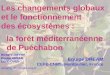 Les changements globaux et le fonctionnement des écosystèmes : la forêt méditerranéenne de Puéchabon Equipe DREAM CEFE-CNRS, Montpellier, France Richard