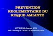 PREVENTION REGLEMENTAIRE DU RISQUE AMIANTE JDV REIMS Janvier 2006 Drs Dominique GRAND et Michel PERNIN