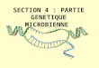SECTION 4 : PARTIE GENETIQUE MICROBIENNE. En relation avec le module de « Biologie moléculaire et génie génétique ». INTITULE DU PROGRAMME COMMENTAIRES