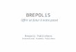 BREPOLiS Offrir un futur à notre passé Brepols Publishers International Academic Publishers