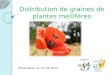 Distribution de graines de plantes mellifères Présentation du 24 mai 2012