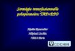 Stratégie transfusionnelle préopératoire: TAP+EPO Nadia Rosencher Hôpital Cochin 75014 Paris COCHIN