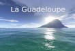 La Guadeloupe. Pays : France Préfecture : Basse-Terre Langue officielle : Français Langue régionale : Créole guadeloupéen Population : 404 394 hab