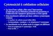 Cytotoxicité à médiation cellulaire La lyse dune cellule cible sans lintervention danticorps par la libération polarisée de perforines et linduction de
