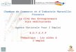 La Cité des Entrepreneurs Euro méditerranée Agence Nationale Pour lEmploi D.D.T.E.F.P Thématique : Les aides à lemploi Chambre de Commerce et dIndustrie