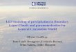 LES modeling of precipitation in Boundary Layer Clouds and parameterisation for General Circulation Model Olivier Geoffroy Jean-Louis Brenguier, Frédéric