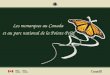 Les monarques au Canada et au parc national de la Pointe-Pelée