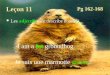 Leçon 11 Les adjectifs (we describe nouns!) Les adjectifs (we describe nouns!) I am a fat groundhog. Je suis une marmotte grosse. Pg 162-168