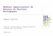 Modèles Impulsionnels de Réseaux de Neurones Biologiques Romain Brette Thèse en neurosciences computationnelles dirigée par Yves Burnod INSERM U483