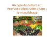 Le maraîchage Un type de culture en Provence-Alpes-Côte dAzur : le maraîchage