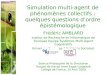 Simulation multi-agent de phénomènes collectifs : quelques questions dordre épistémologique Frédéric AMBLARD Institut de Recherche en Informatique de Toulouse